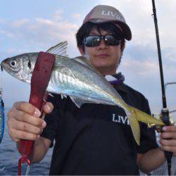 渡船屋たにぐち 釣果