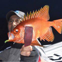 渡船屋たにぐち 釣果