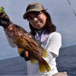 渡船屋たにぐち 釣果