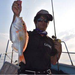 渡船屋たにぐち 釣果