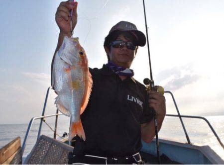 渡船屋たにぐち 釣果