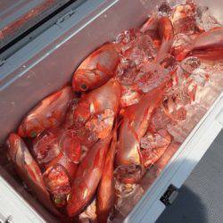 ＴＡＲＯＭＡＲＵ 釣果