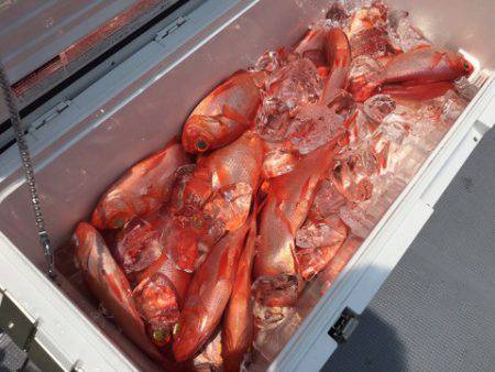 ＴＡＲＯＭＡＲＵ 釣果