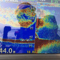 第二 海洋丸 釣果