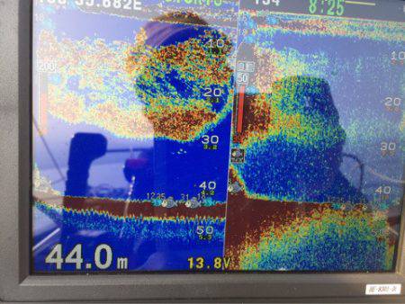 第二 海洋丸 釣果