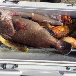 第二龍勢丸 釣果