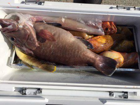 第二龍勢丸 釣果