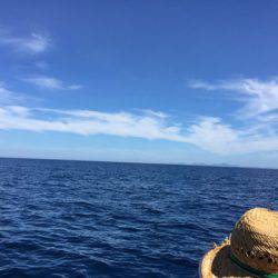 第二龍勢丸 釣果