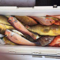 第二龍勢丸 釣果