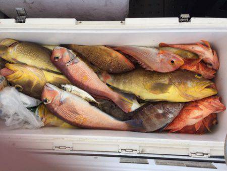 第二龍勢丸 釣果