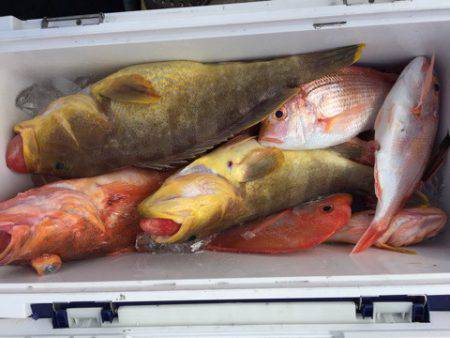 第二龍勢丸 釣果