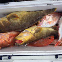 第二龍勢丸 釣果