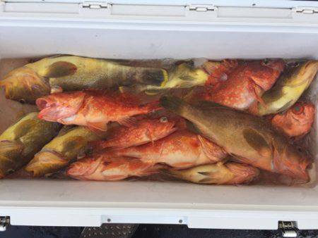 第二龍勢丸 釣果