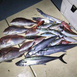 Monster Rush! 釣果