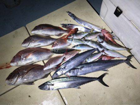 Monster Rush! 釣果