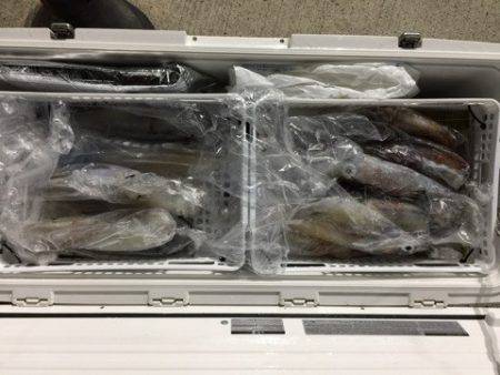 第二龍勢丸 釣果