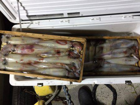 第二龍勢丸 釣果