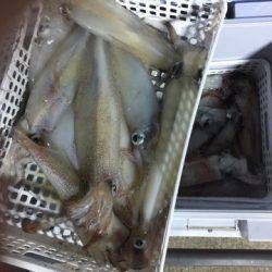 第二龍勢丸 釣果