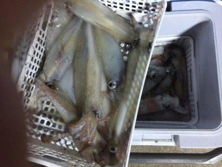 第二龍勢丸 釣果