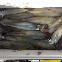 第二龍勢丸 釣果