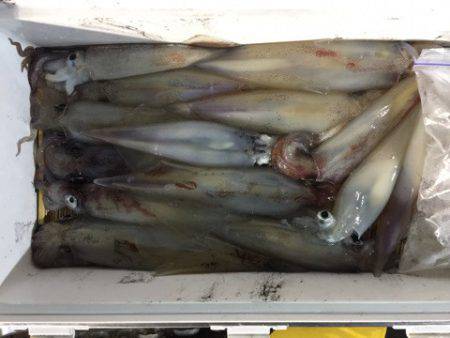 第二龍勢丸 釣果