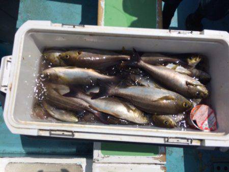 丸万釣船 釣果