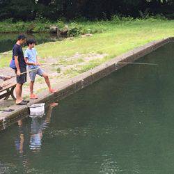 白州トラウトフィッシングエリア　シルフ 釣果