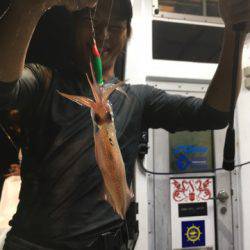 ＴＡＲＯＭＡＲＵ 釣果