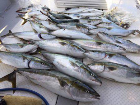 ビッグファイター 釣果