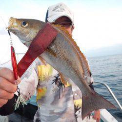渡船屋たにぐち 釣果