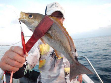 渡船屋たにぐち 釣果