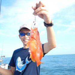 渡船屋たにぐち 釣果