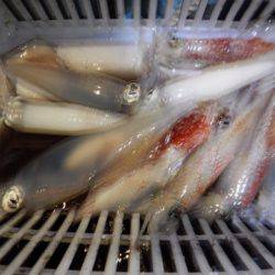 渡船屋たにぐち 釣果