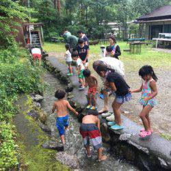 白州トラウトフィッシングエリア　シルフ 釣果