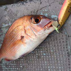 第二 海洋丸 釣果