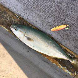 第二 海洋丸 釣果