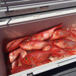 ＴＡＲＯＭＡＲＵ 釣果