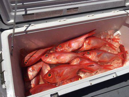 ＴＡＲＯＭＡＲＵ 釣果