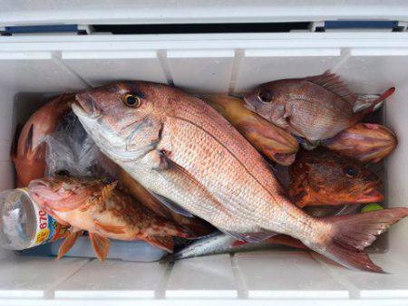 第二八坂丸 釣果