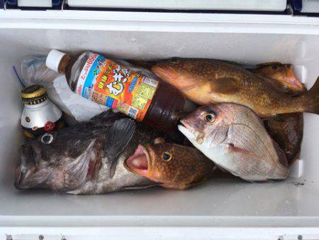 第二八坂丸 釣果