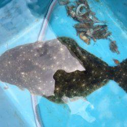 第二八坂丸 釣果