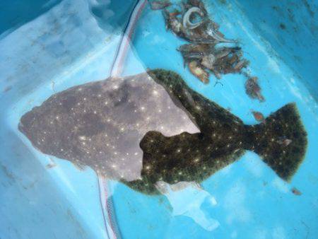 第二八坂丸 釣果