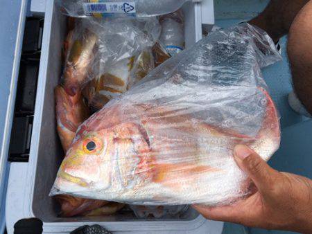 第二八坂丸 釣果