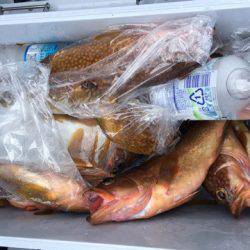 第二八坂丸 釣果