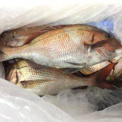 第二八坂丸 釣果