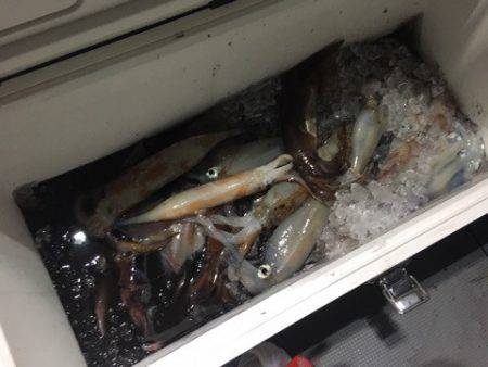 ＴＡＲＯＭＡＲＵ 釣果