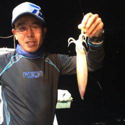 ＴＡＲＯＭＡＲＵ 釣果