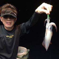 ＴＡＲＯＭＡＲＵ 釣果