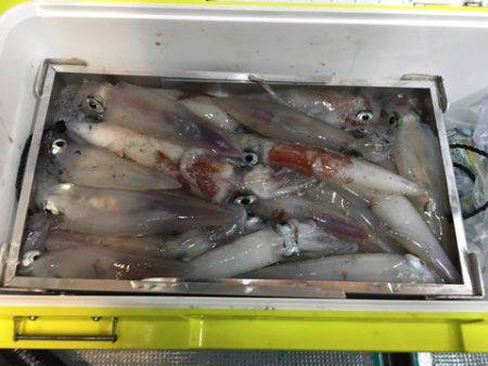 ＴＡＲＯＭＡＲＵ 釣果