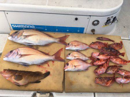 末広丸(熊本) 釣果